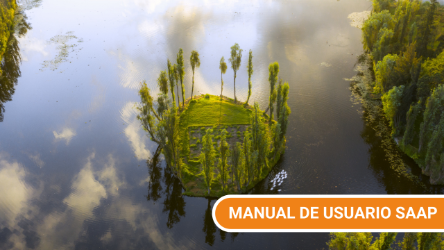 Manual de usuario