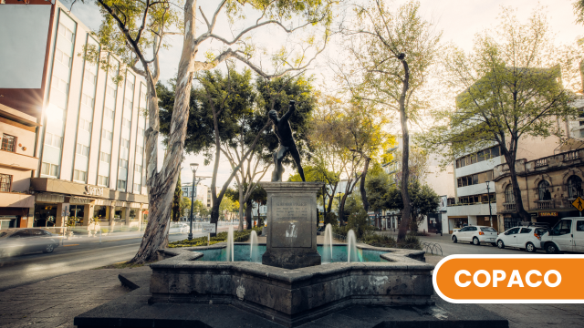 COPACOS Y ENLACES VECINALES