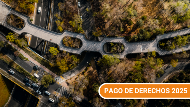 PAGO DE DERECHOS.png