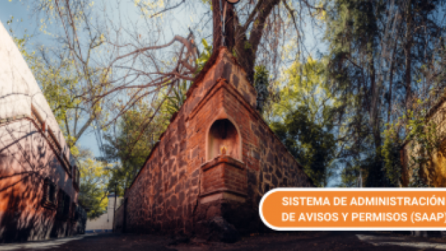 Captura de pantalla 2026-05-06 134518.png